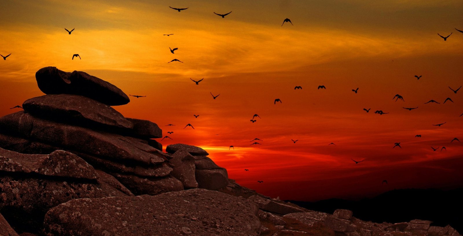 Silhouetted birds flying over rocky formation during a vibrant sunset, capturing nature's serene beauty.