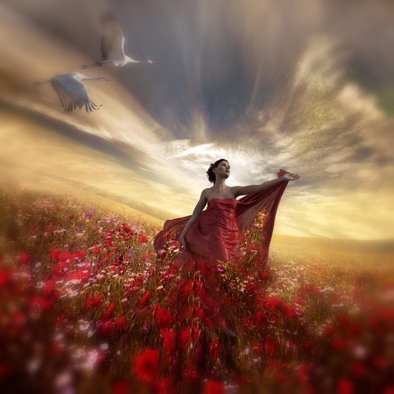 woman, flowers, field of flowers, birds, storks, sunset, beautiful flowers, clouds, fantasy, beauty, magic, bloom, nature, fantasy, fantasy, fantasy, fantasy, flower wallpaper, fantasy, flower background, magic, magic, magic