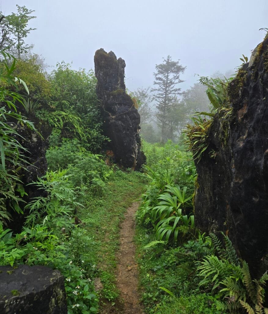 Gradina Cerească din Nori de pe muntele Ham Rong