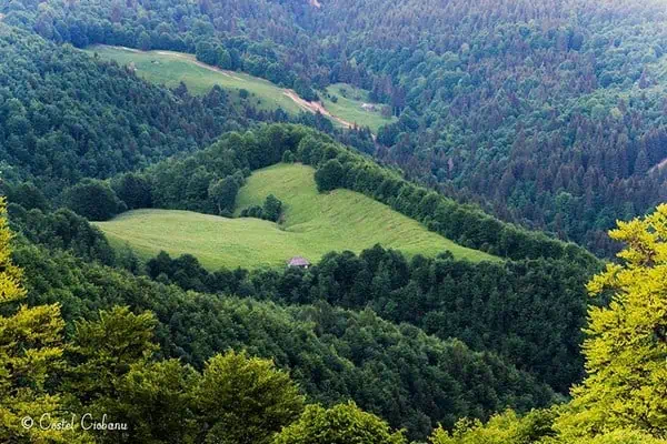 „Scrisori pentru Sufletul meu” – recenzie literară din Bucerdea Vinoasă