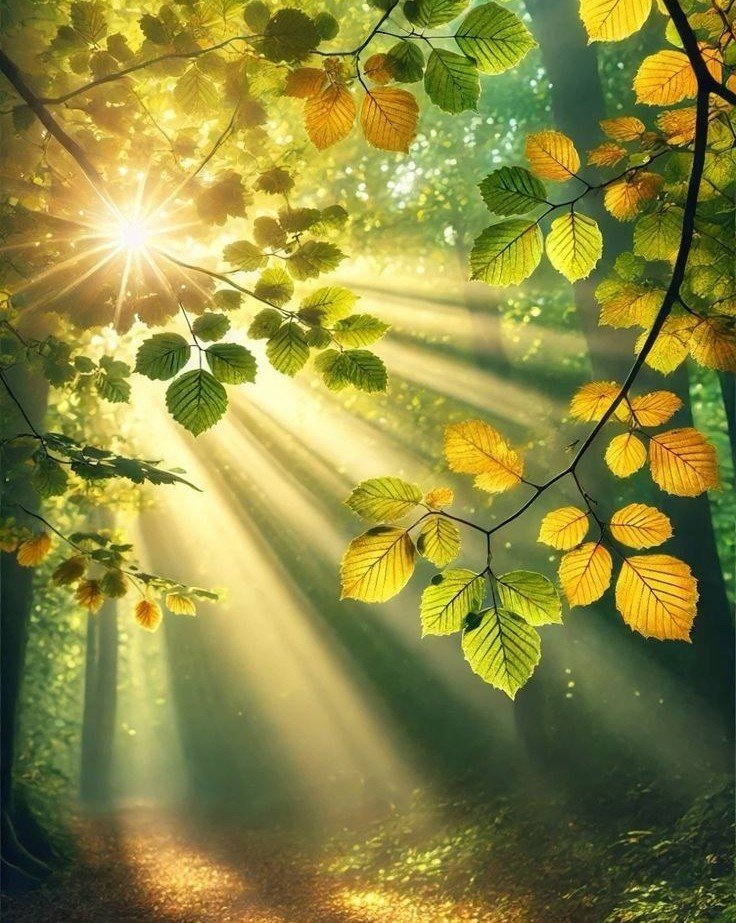 POEZII DESPRE IUBIRE – Anișoara Laura Mustețiu